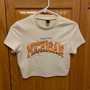 Michigan crop top